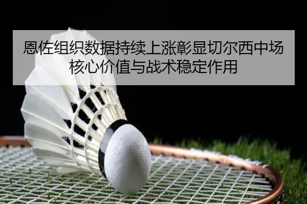 恩佐组织数据持续上涨彰显切尔西中场核心价值与战术稳定作用